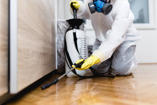 Best Pest Control for Businesses  in Shelley, ID