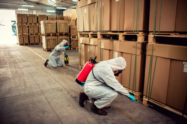 Best Pest Removal Services  in Shelley, ID