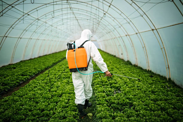 Best Commercial Pest Control Services  in Shelley, ID