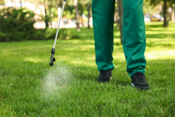Professional Pest Control in Shelley, ID