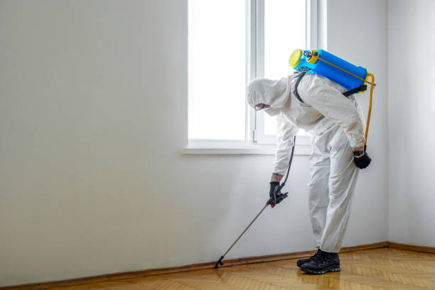 Best Pest Control for Businesses  in Shelley, ID