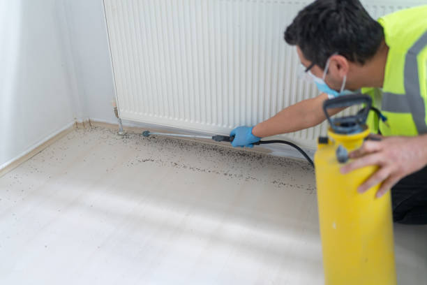 Best Pest Control Near Me in Shelley, ID