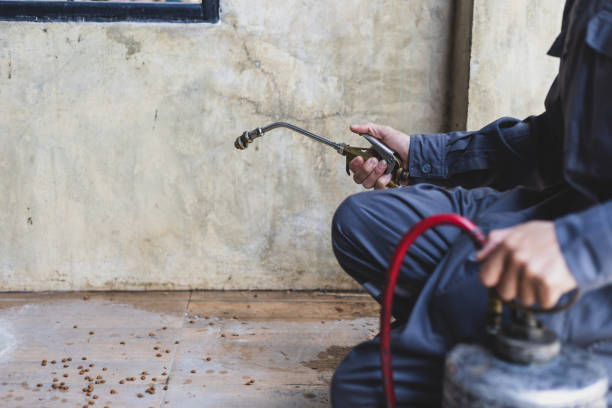 Best Pest Control Near Me  in Shelley, ID