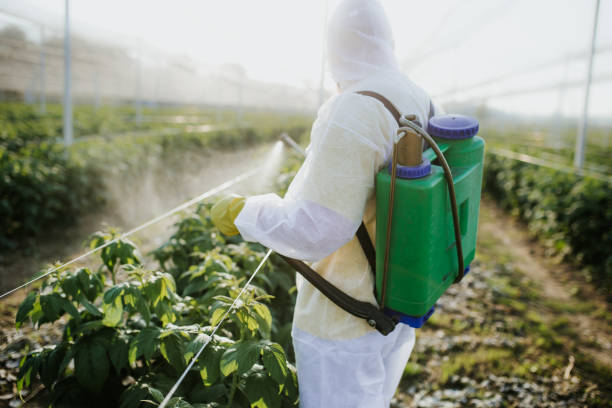 Best Residential Pest Control  in Shelley, ID